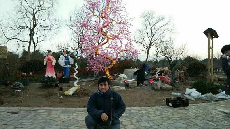 廣場(chǎng)梅花雕塑訂做，城市雕塑，梅花雕塑精品